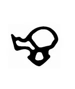 Fensterdichtungen für den Rahmen 2171 TPE